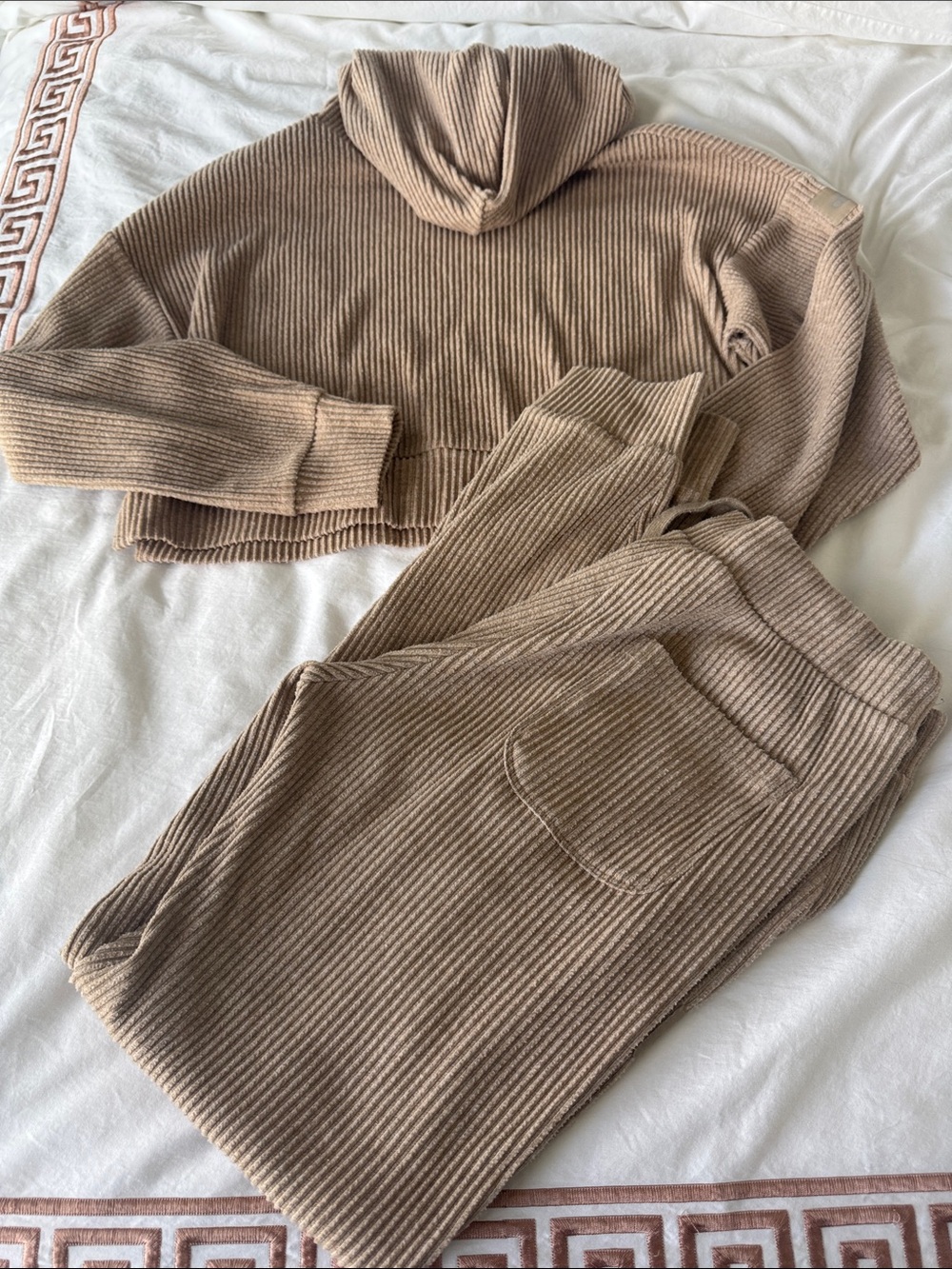 ALO yoga joggers and hoodie